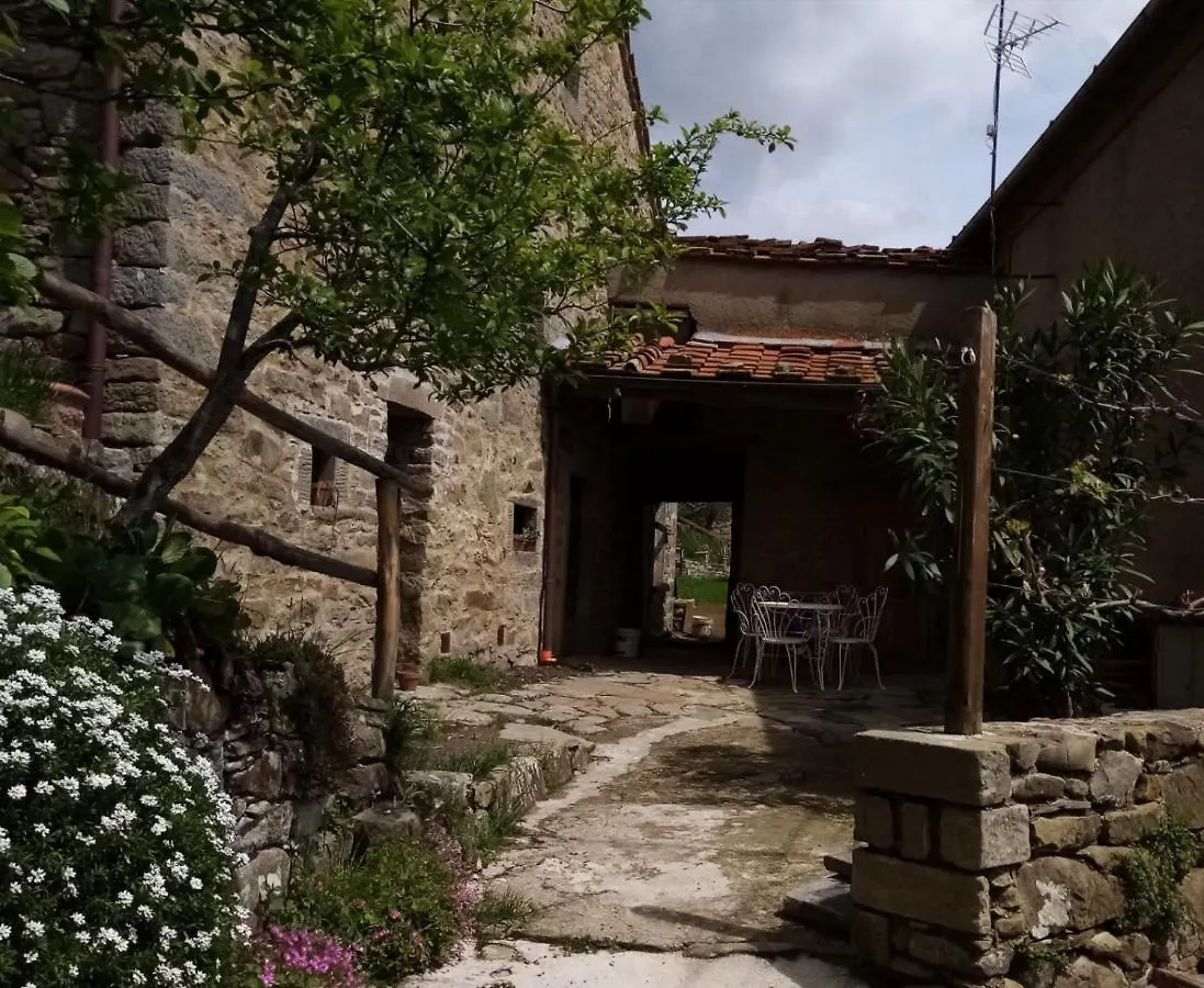 Campsite Camping “La Tana Del Lupo” Hotel Arezzo